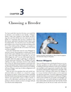 Whippets Whippets