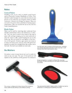 Dog Grooming Dog Grooming