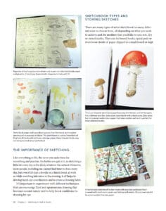 Drawing and Painting Fungi Drawing and Painting Fungi