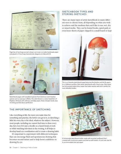 Drawing and Painting Fungi