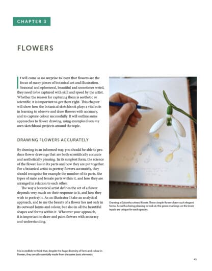 Botanical Sketchbooks