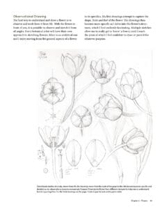 Botanical Sketchbooks Botanical Sketchbooks