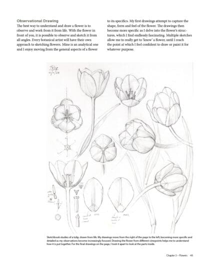 Botanical Sketchbooks