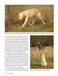 Gundog SOS Gundog SOS