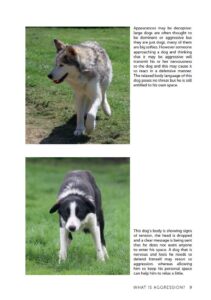 Understanding and Handling Dog Aggression Understanding and Handling Dog Aggression