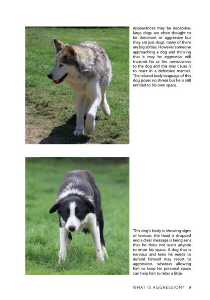 Understanding and Handling Dog Aggression