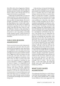 Understanding and Handling Dog Aggression Understanding and Handling Dog Aggression