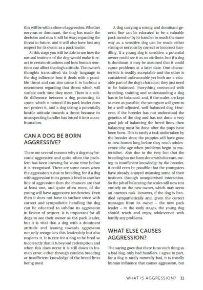 Understanding and Handling Dog Aggression