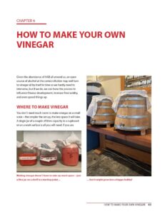 Vinegar Vinegar