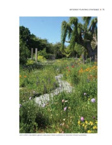 Seasonal Planting in Garden Design Seasonal Planting in Garden Design