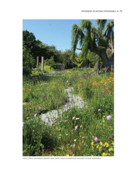 Seasonal Planting in Garden Design