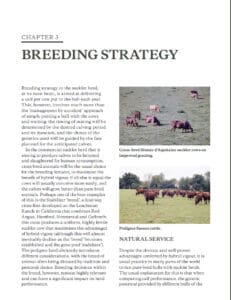 Suckler Herd Health and Productivity Management Suckler Herd Health and Productivity Management