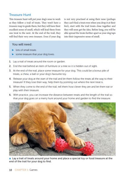 Dog Enrichment