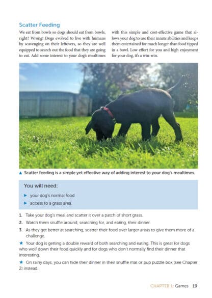 Dog Enrichment