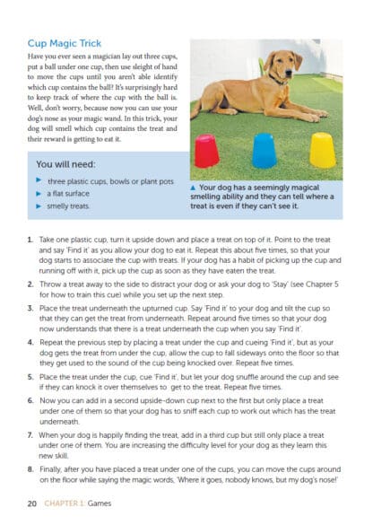 Dog Enrichment