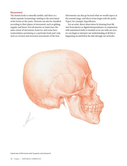 Medical Art