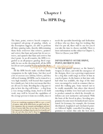 Hunt-Point-Retrieve Dogs for Work and Showing