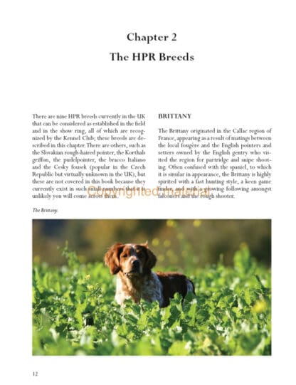 Hunt-Point-Retrieve Dogs for Work and Showing
