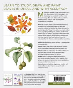 Drawing and Painting Leaves Drawing and Painting Leaves