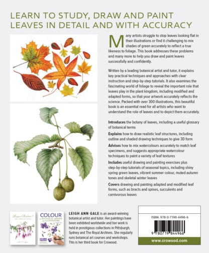 Drawing and Painting Leaves