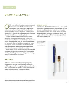 Drawing and Painting Leaves Drawing and Painting Leaves