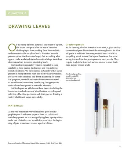 Drawing and Painting Leaves