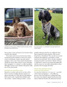 Spaniel Survival Guide Spaniel Survival Guide