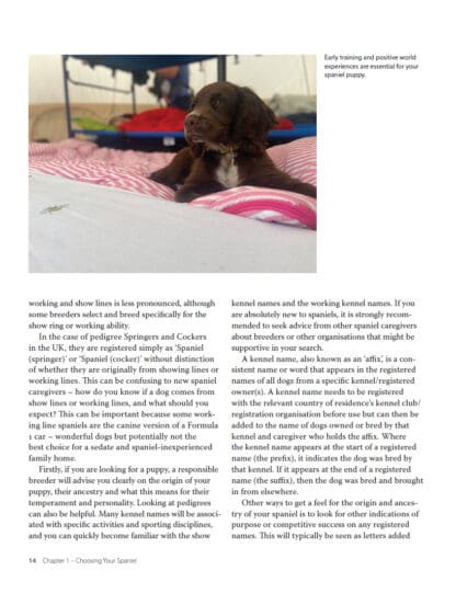 Spaniel Survival Guide