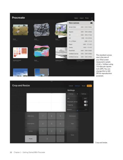 Procreate Landscapes on the iPad