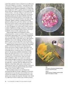 From Plant to Print From Plant to Print