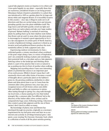 From Plant to Print