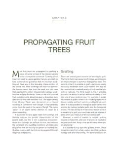 Growing Fruit Growing Fruit