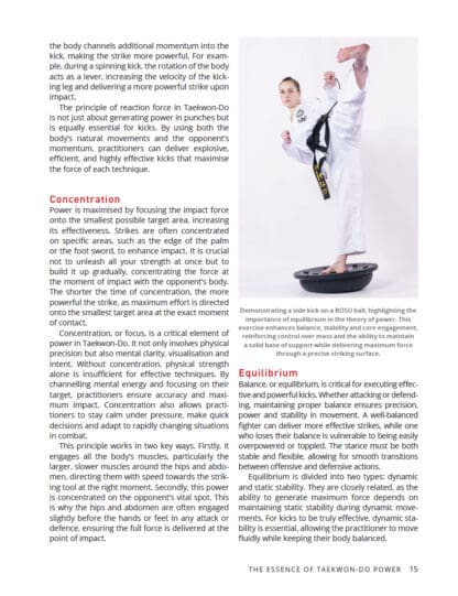 Taekwon-Do Kicks
