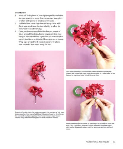 Design and Style Modern Dried Flowers
