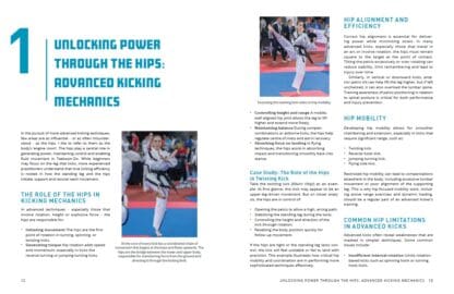 Advanced Taekwon-Do Kicks