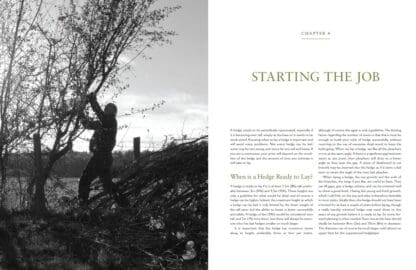 Hedgelaying