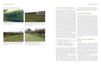 Hedgelaying