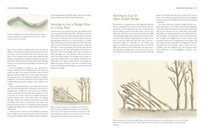 Hedgelaying