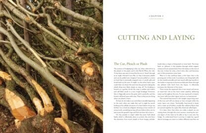 Hedgelaying