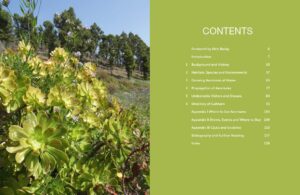 Understanding and Growing Aeoniums