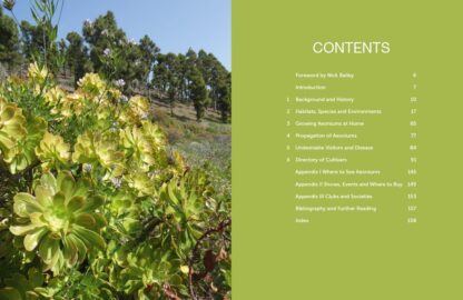 Understanding and Growing Aeoniums