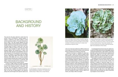 Understanding and Growing Aeoniums