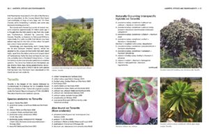 Understanding and Growing Aeoniums