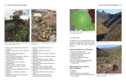 Understanding and Growing Aeoniums