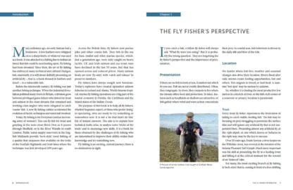 Better Fly Fisher