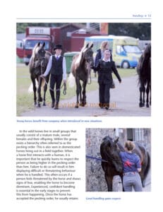 The Horse Grooming Manual The Horse Grooming Manual
