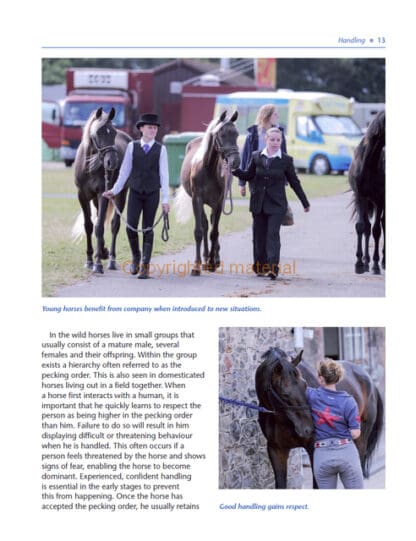 The Horse Grooming Manual