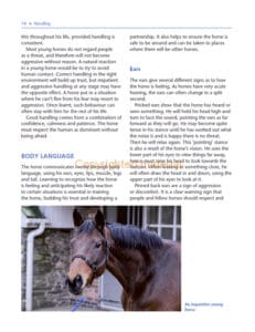 The Horse Grooming Manual The Horse Grooming Manual