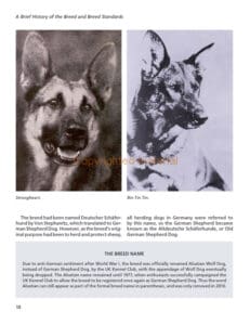 German Shepherds German Shepherds