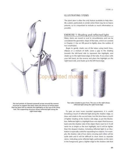 Botanical Drawing Using Graphite and Coloured Pencils